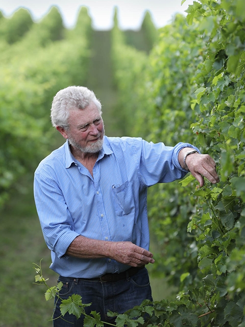 Mike Press in his Lobethal vineyard